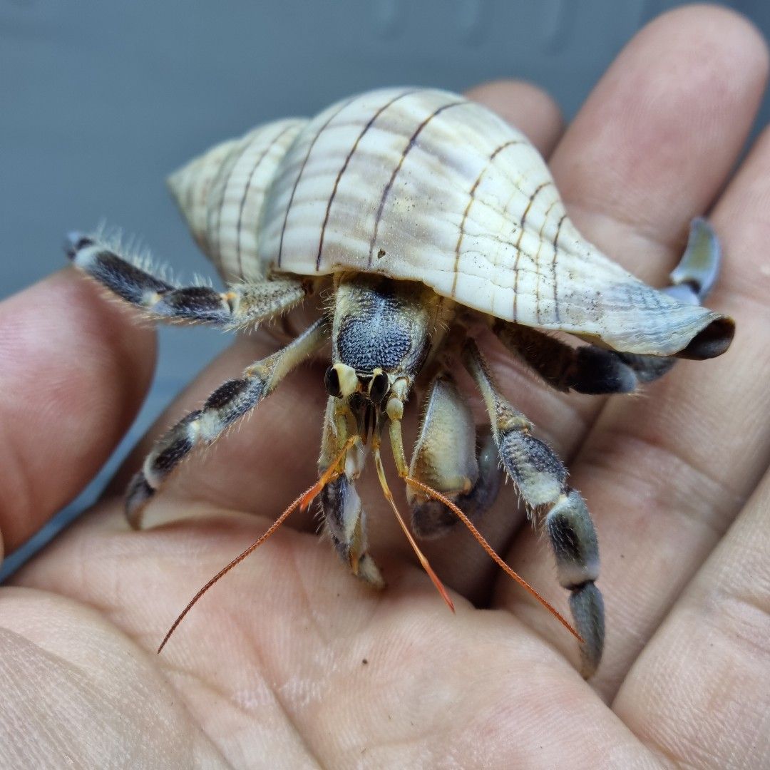 scaled_1000187039.jpg