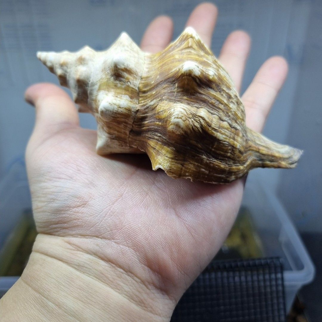 scaled_1000186166.jpg