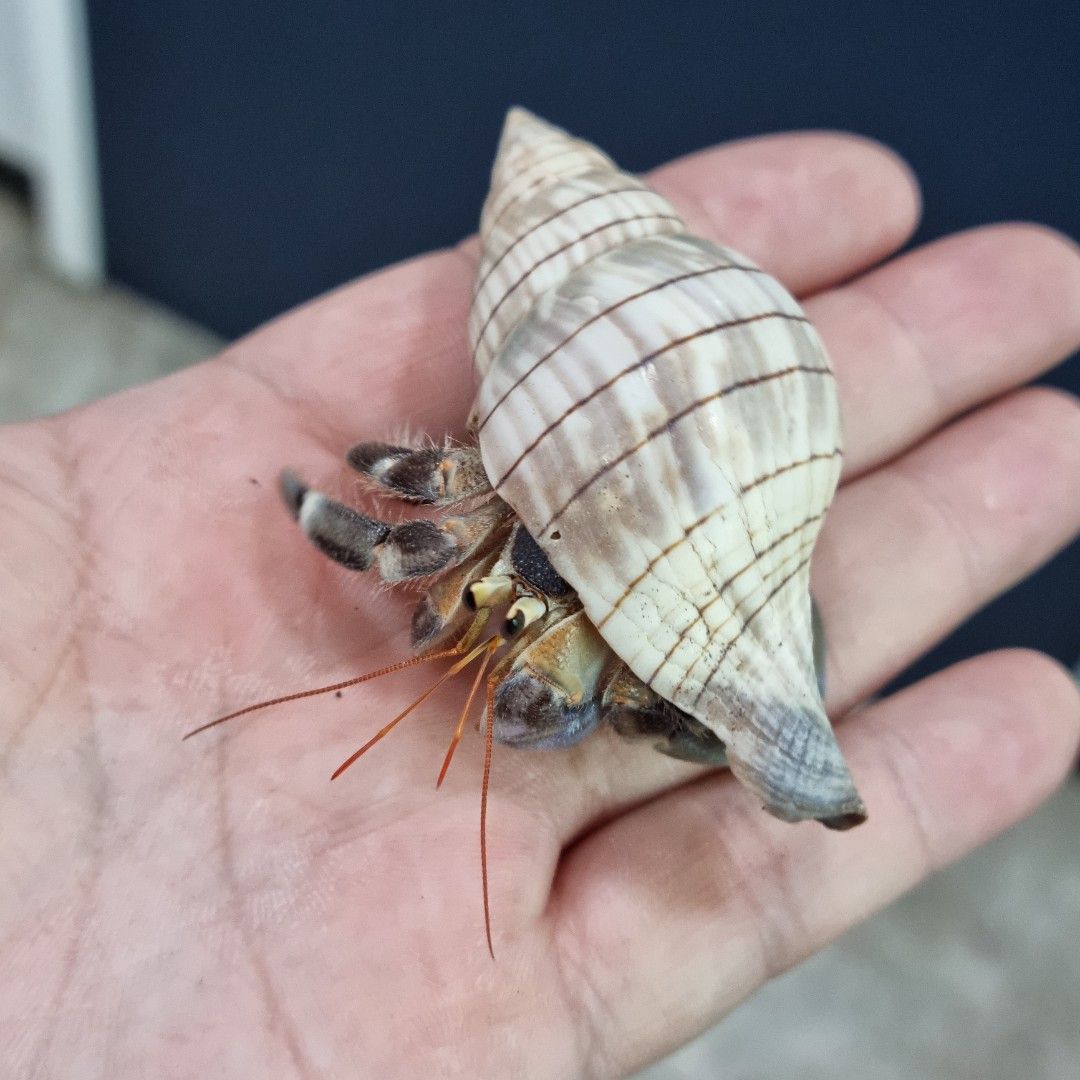 scaled_1000187040.jpg