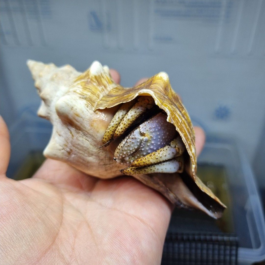 scaled_1000186163.jpg
