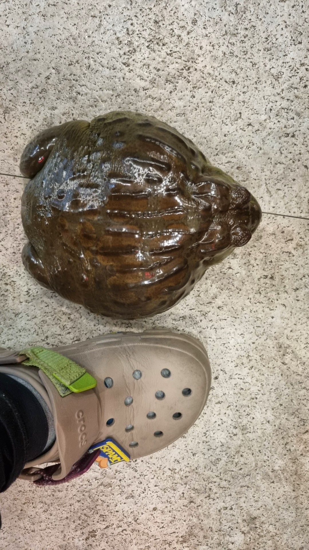 20230317_214245.jpg