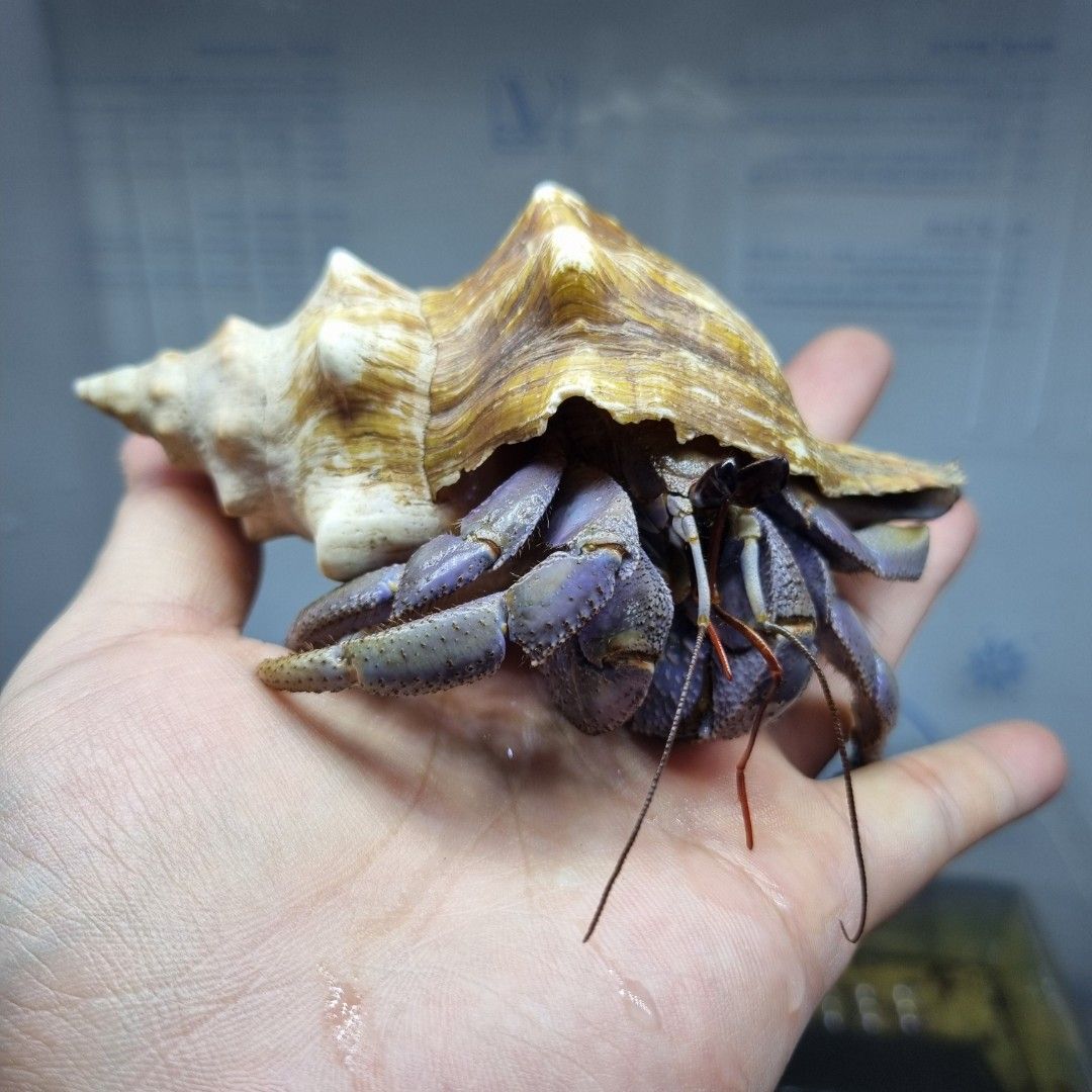 scaled_1000186174.jpg