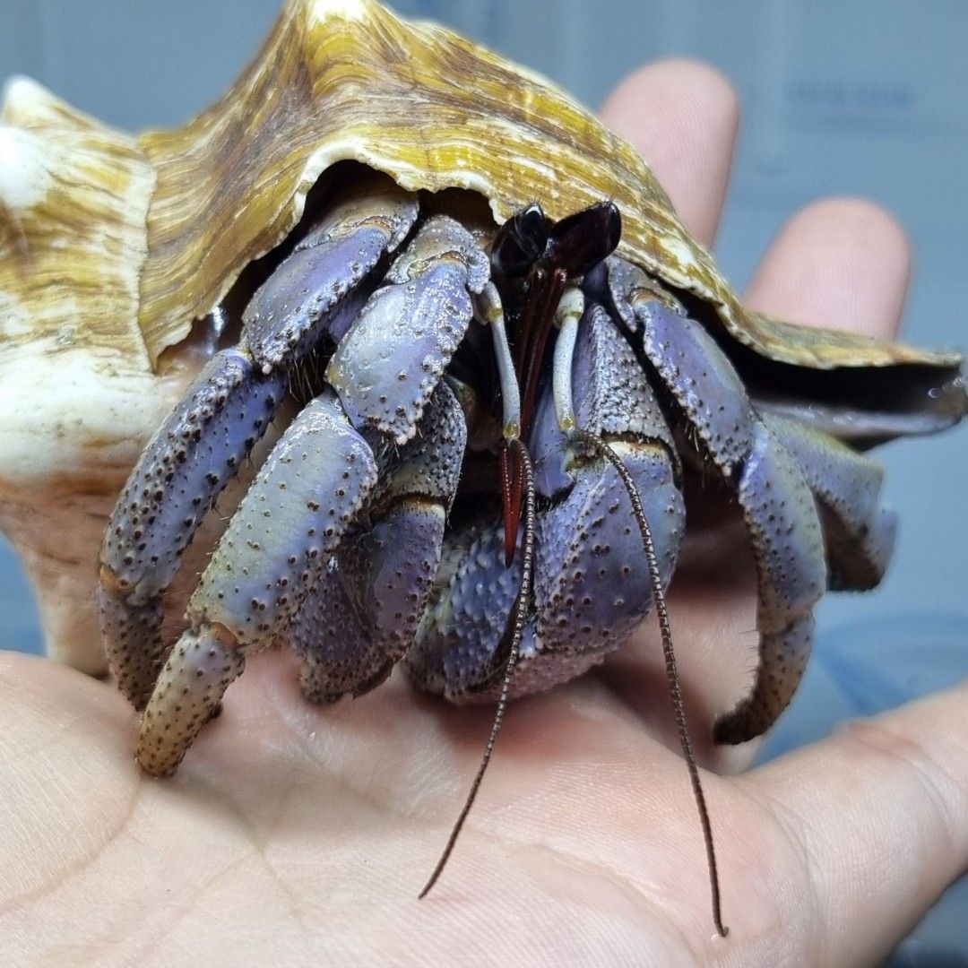 scaled_1000186172.jpg
