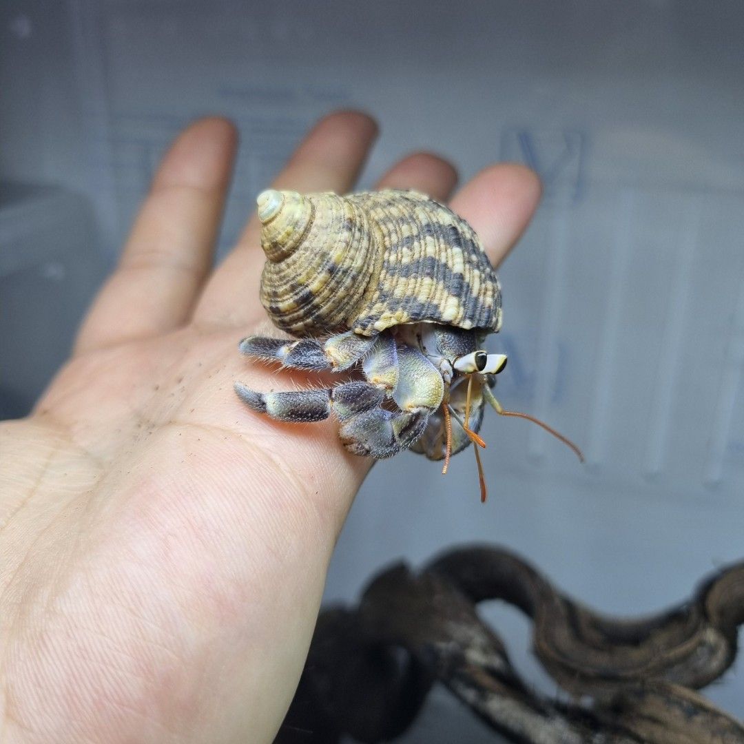 scaled_1000184731.jpg
