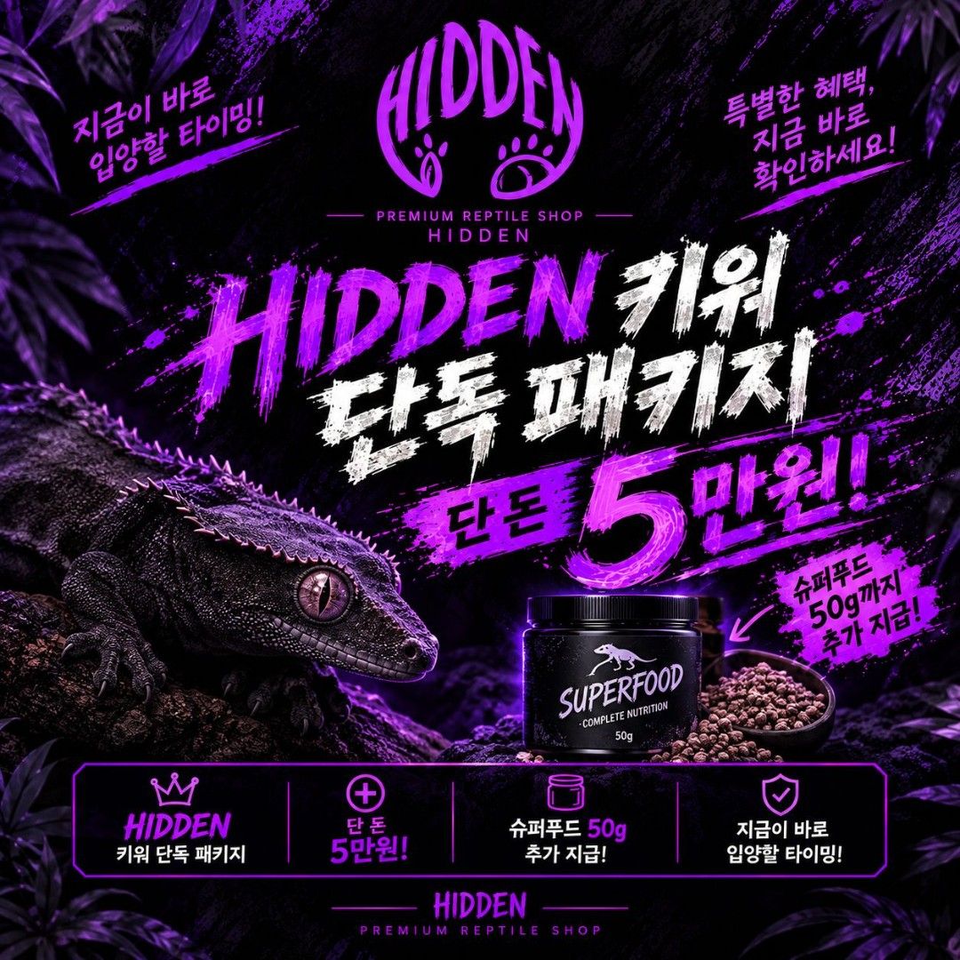 🖤도마뱀+사육장+슈퍼푸드🖤