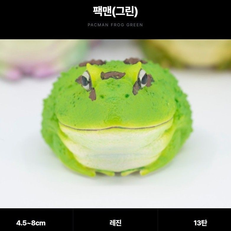 [동물행성 심광체반 13탄 개구리] 팩맨(그린) 피규어