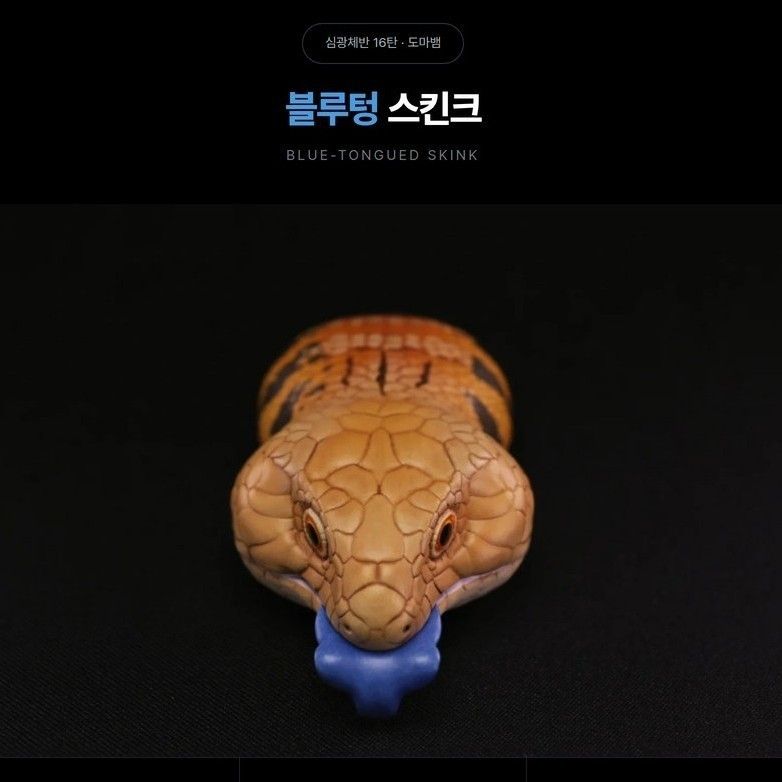 [동물행성 심광체반 16탄 도마뱀] 블루텅 스킨크 피규어