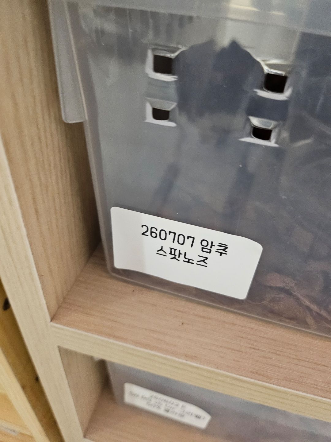 스팟노즈