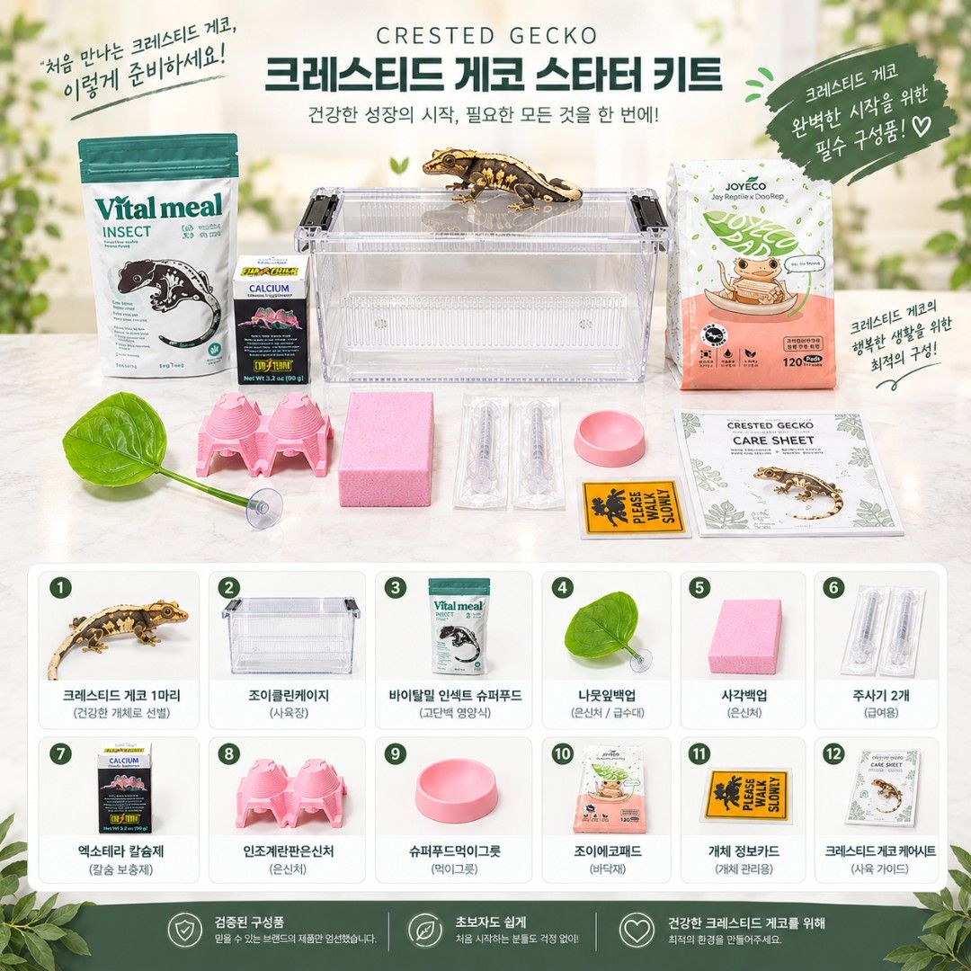 크레스티드게코 노멀(랜덤모프) 포함 올인원 스타터 키트(아기자기 핑크세트)