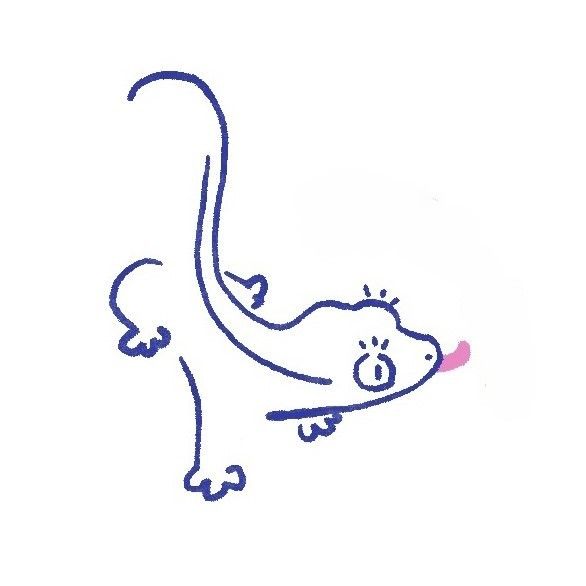 에메랄드