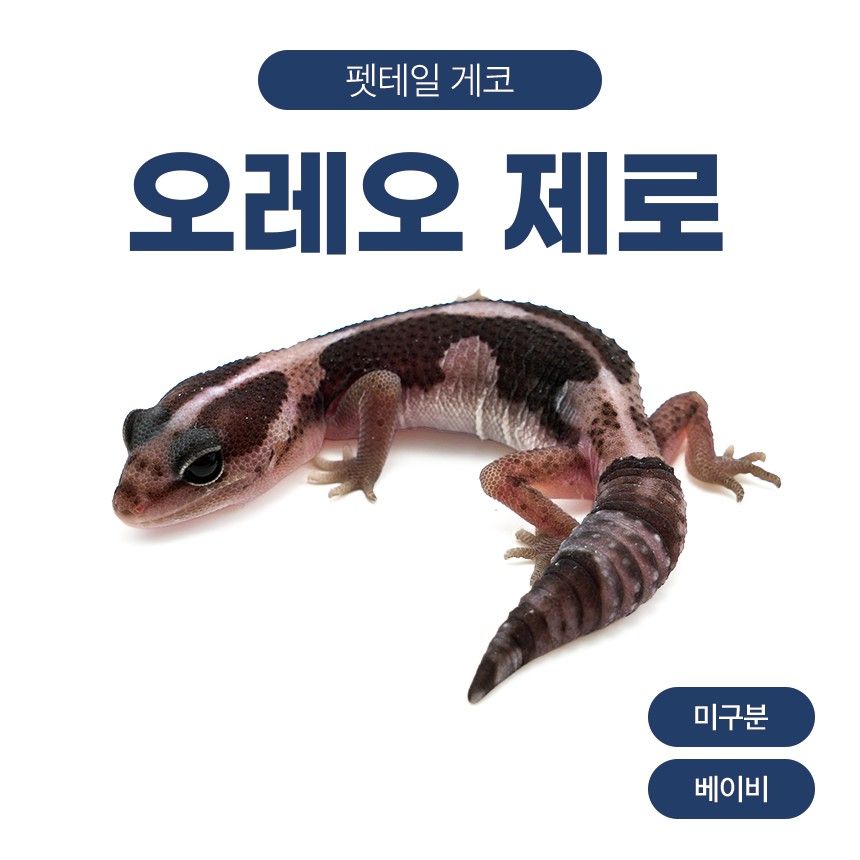 오레오 제로 F261016