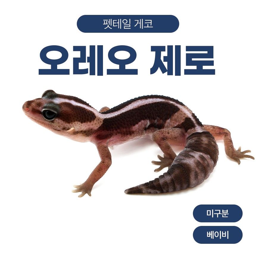 오레오 제로 F261017