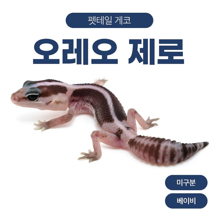 오레오 제로 F261018