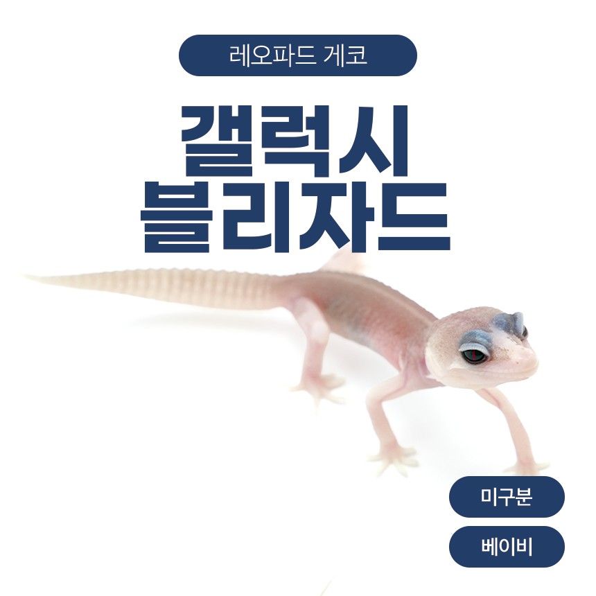 갤럭시 블리자드 L261011