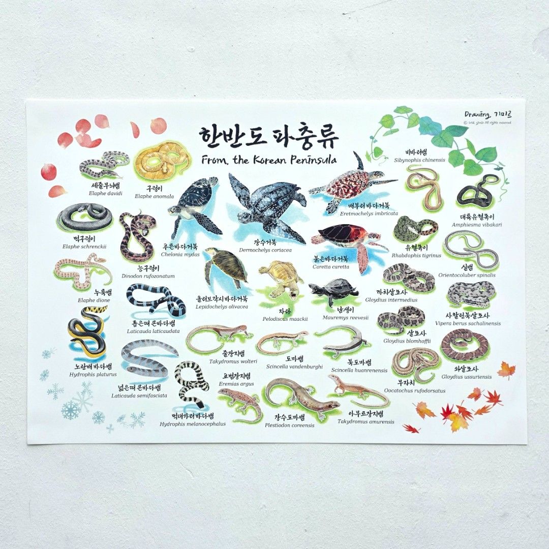 한반도 해양&토종 파충류 도감 포스터