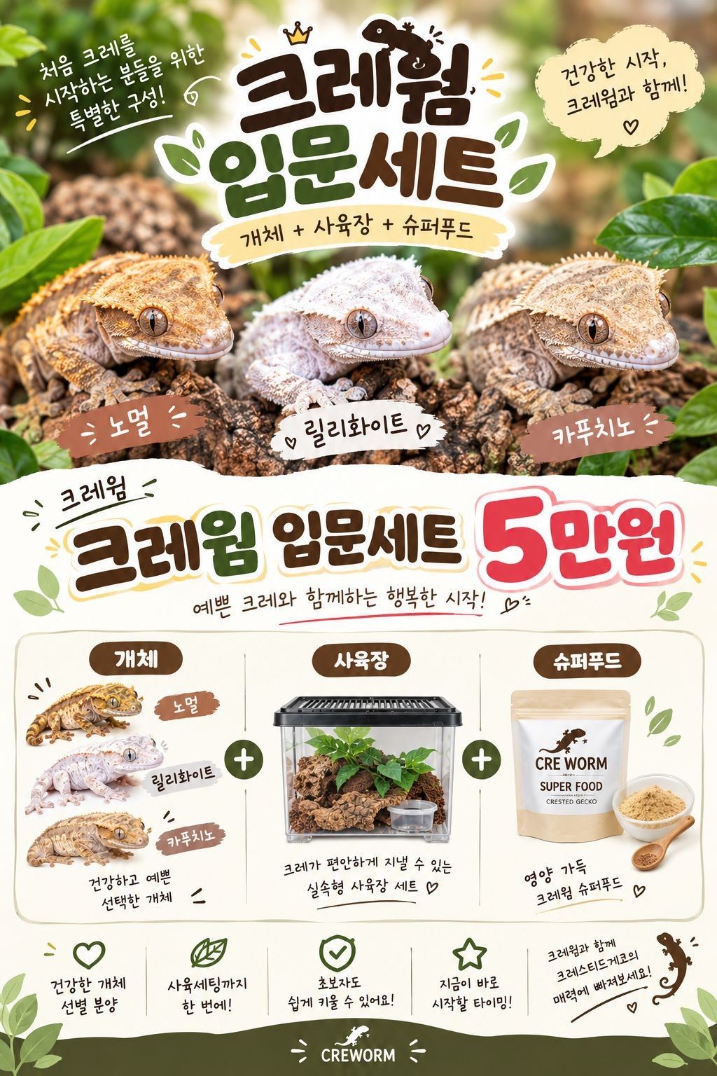 크레입문세트