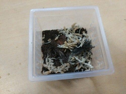 미니 적재형 케이지 