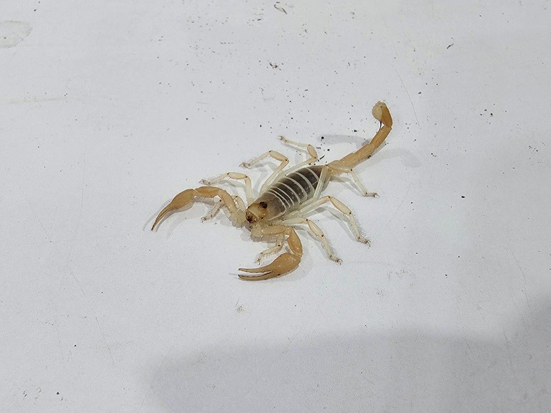 KakaoTalk_20261010_173759499_02.jpg