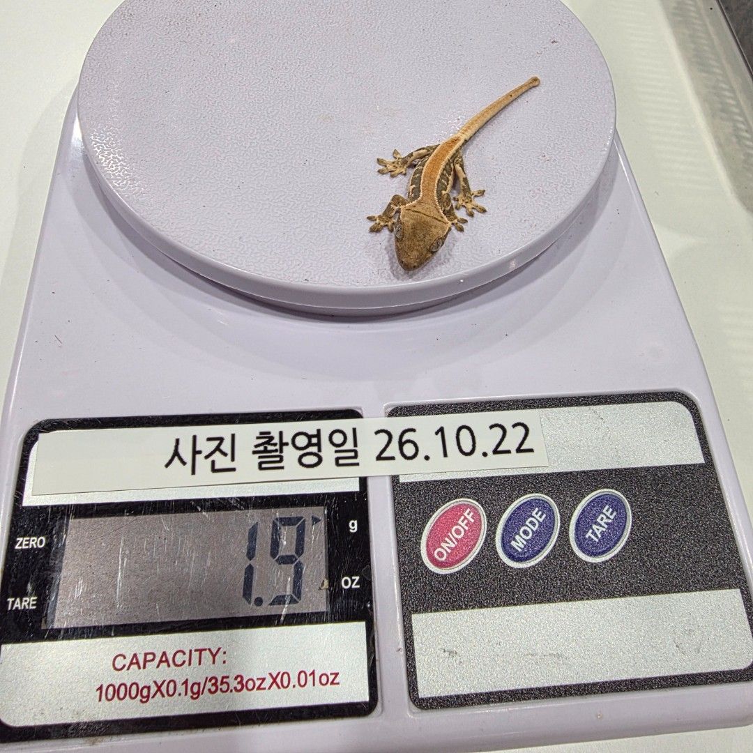 KakaoTalk_20261022_215617691_01.jpg