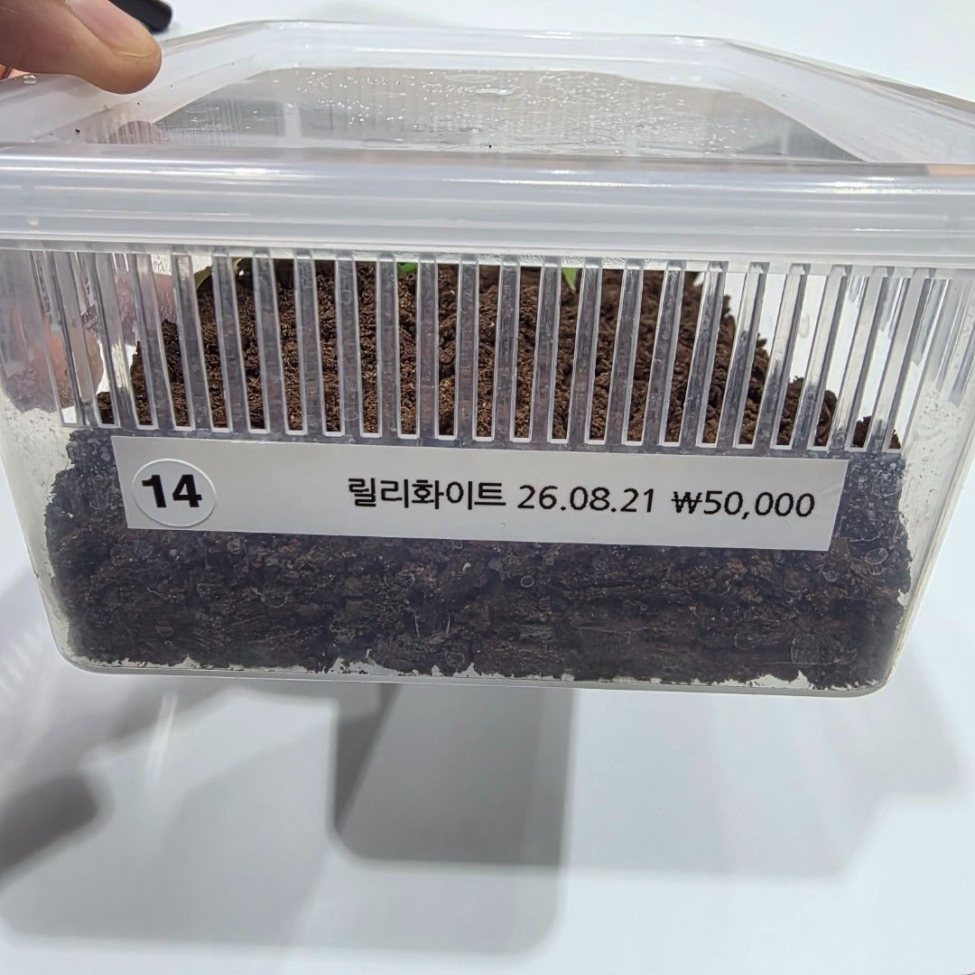 KakaoTalk_20261022_215632035_14.jpg