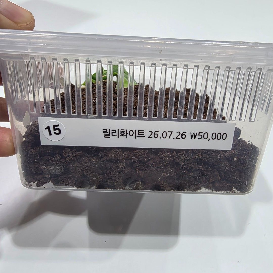 KakaoTalk_20261022_215632035_22.jpg