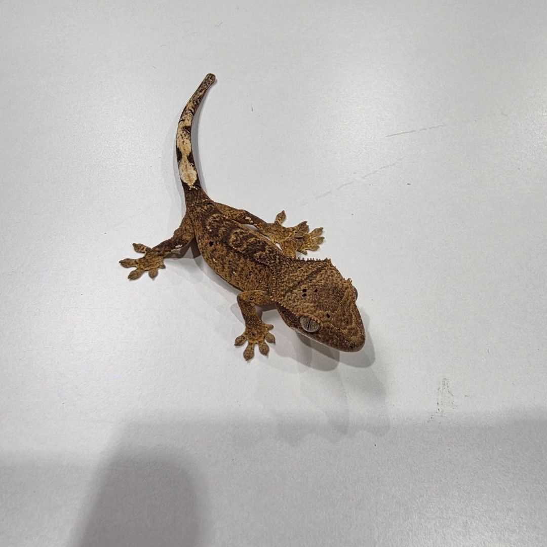 KakaoTalk_20261022_185535074_09 - 복사본.jpg