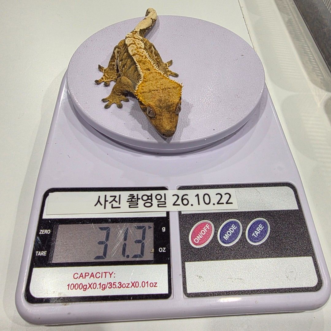KakaoTalk_20261022_235122683_25.jpg