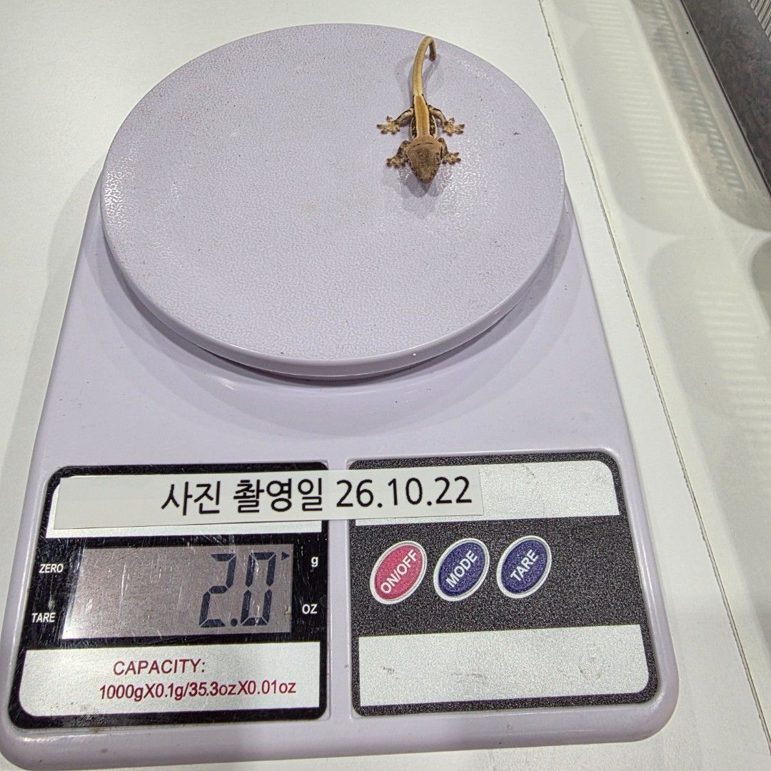 KakaoTalk_20261022_204119613_20.jpg