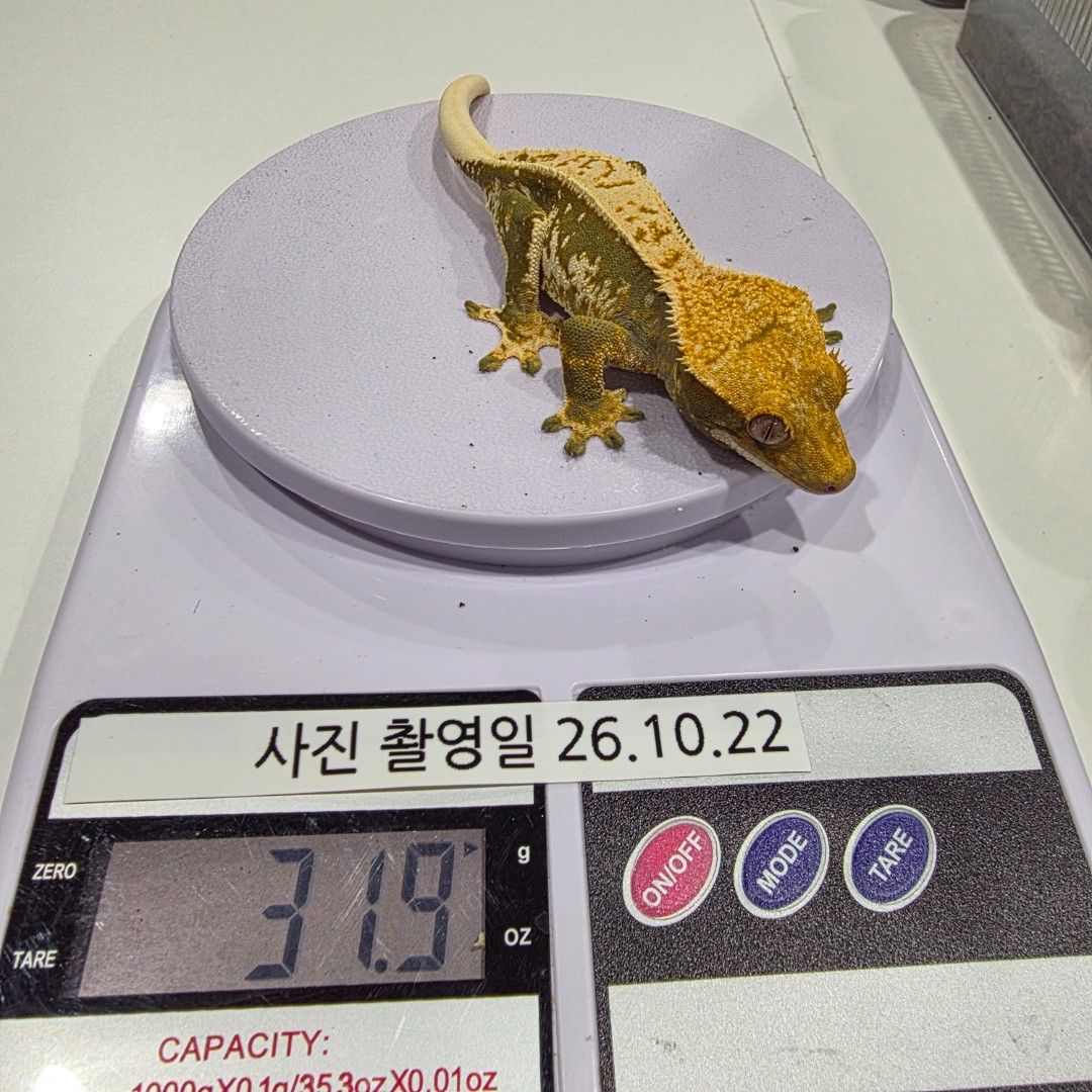 KakaoTalk_20261022_235139854_05.jpg
