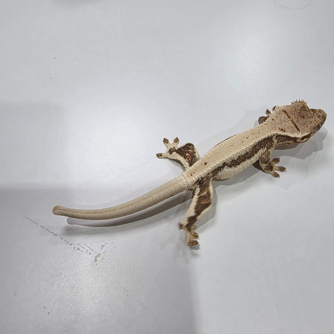 KakaoTalk_20261022_204109936_27.jpg