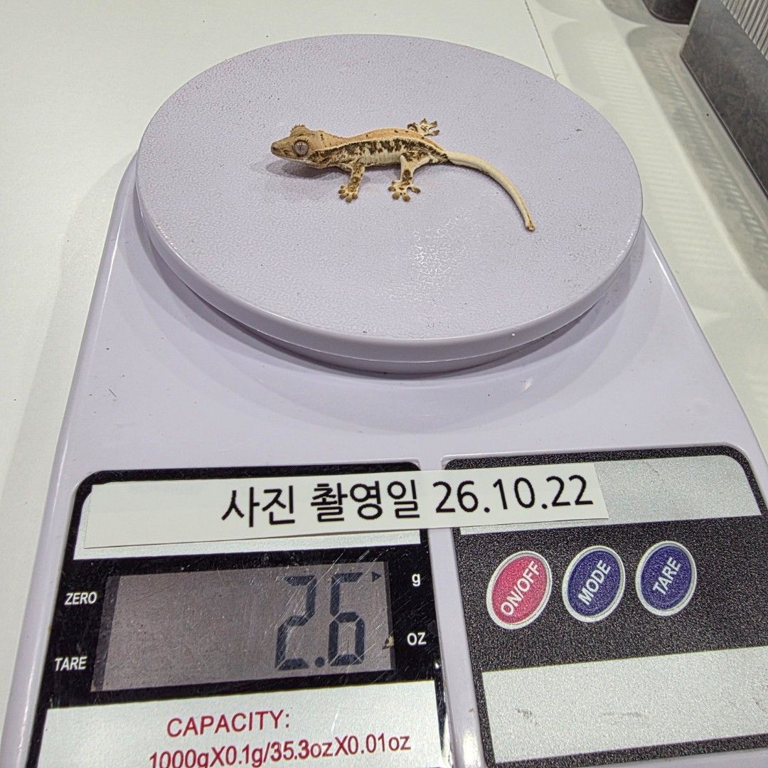 KakaoTalk_20261022_204056095_20.jpg