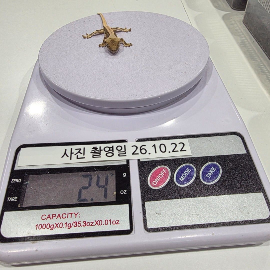 KakaoTalk_20261022_215636466_01.jpg