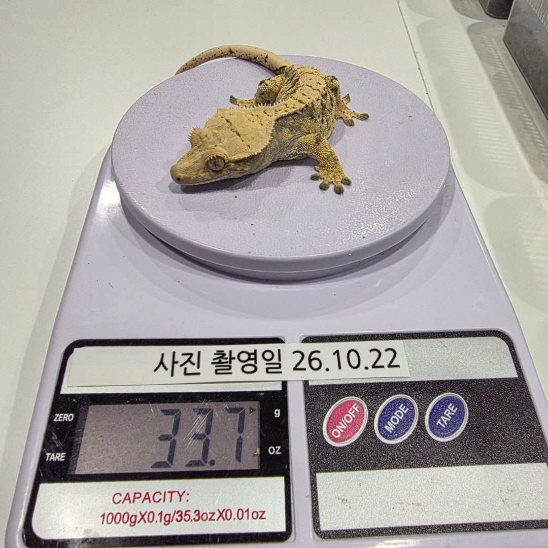 KakaoTalk_20261023_001037641_14.jpg