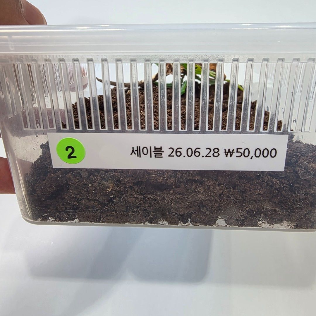KakaoTalk_20261022_144118056_27.jpg