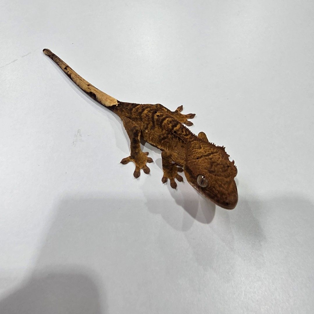 KakaoTalk_20261022_185553798.jpg
