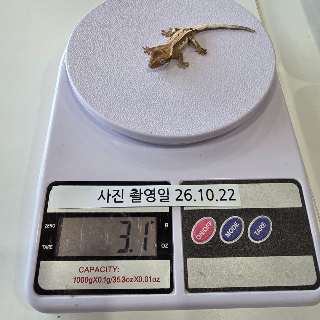 KakaoTalk_20261022_144048137_13.jpg