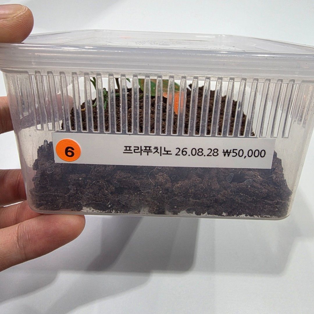 KakaoTalk_20261022_173647609_17.jpg