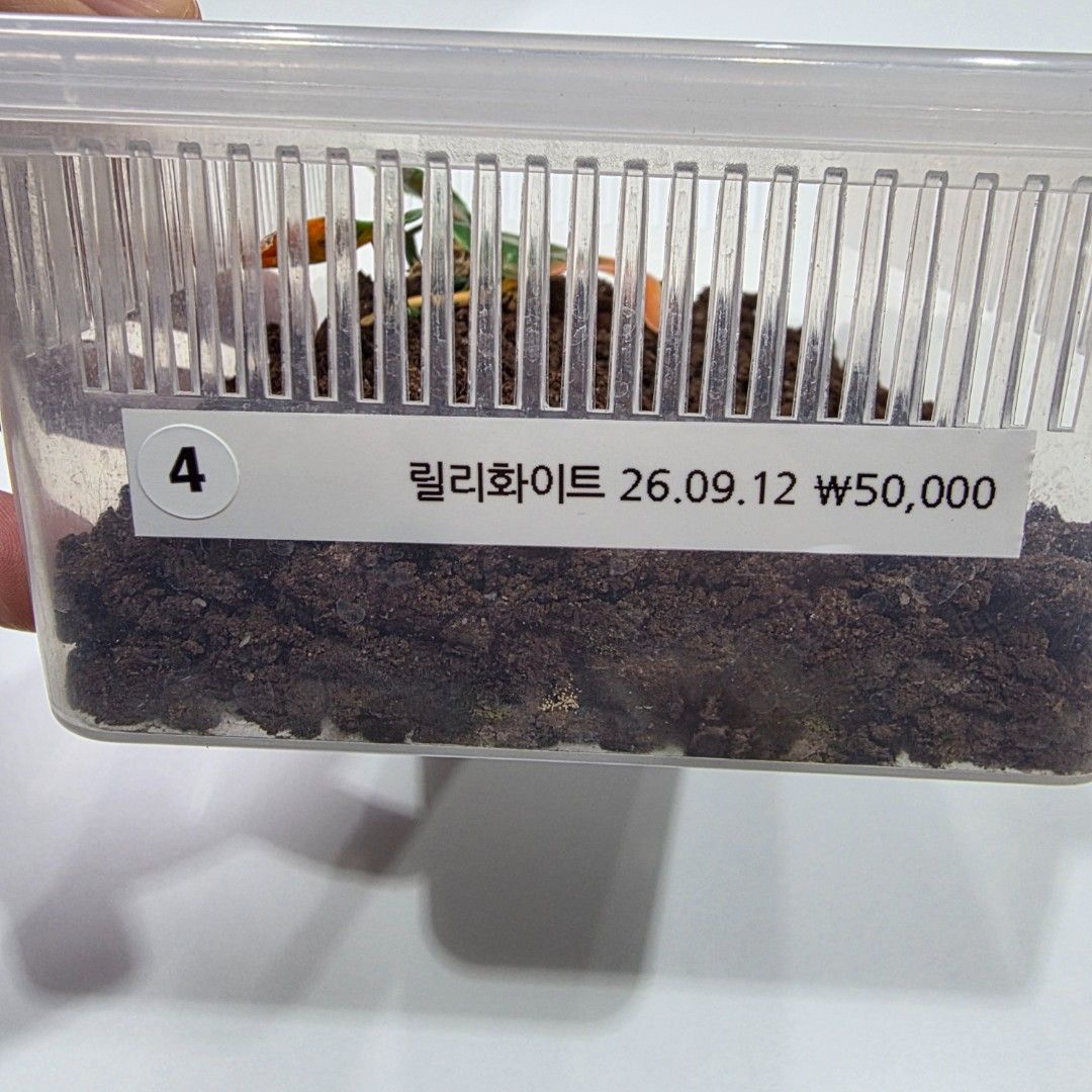 KakaoTalk_20261022_204109936_19.jpg