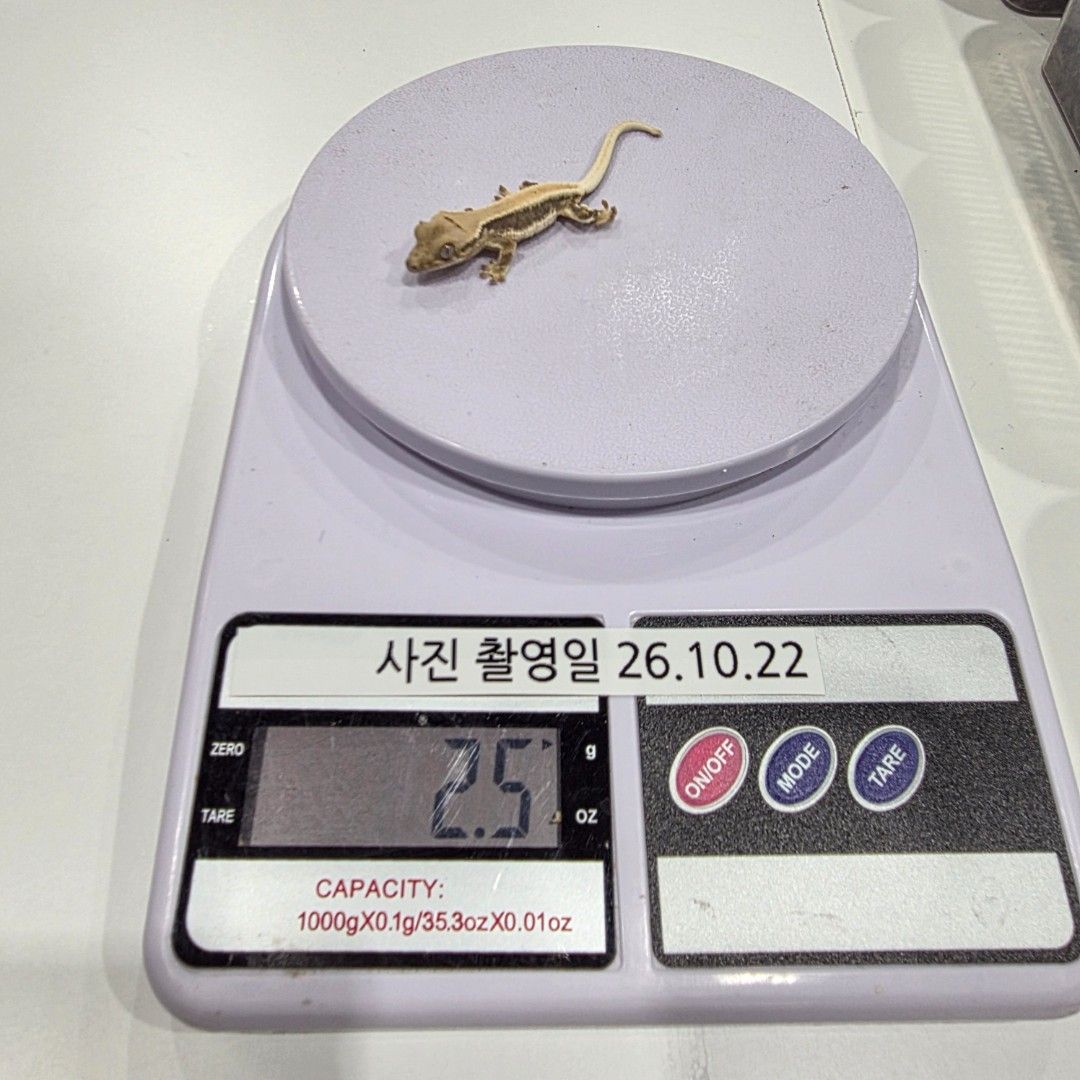 KakaoTalk_20261022_215632035_15.jpg