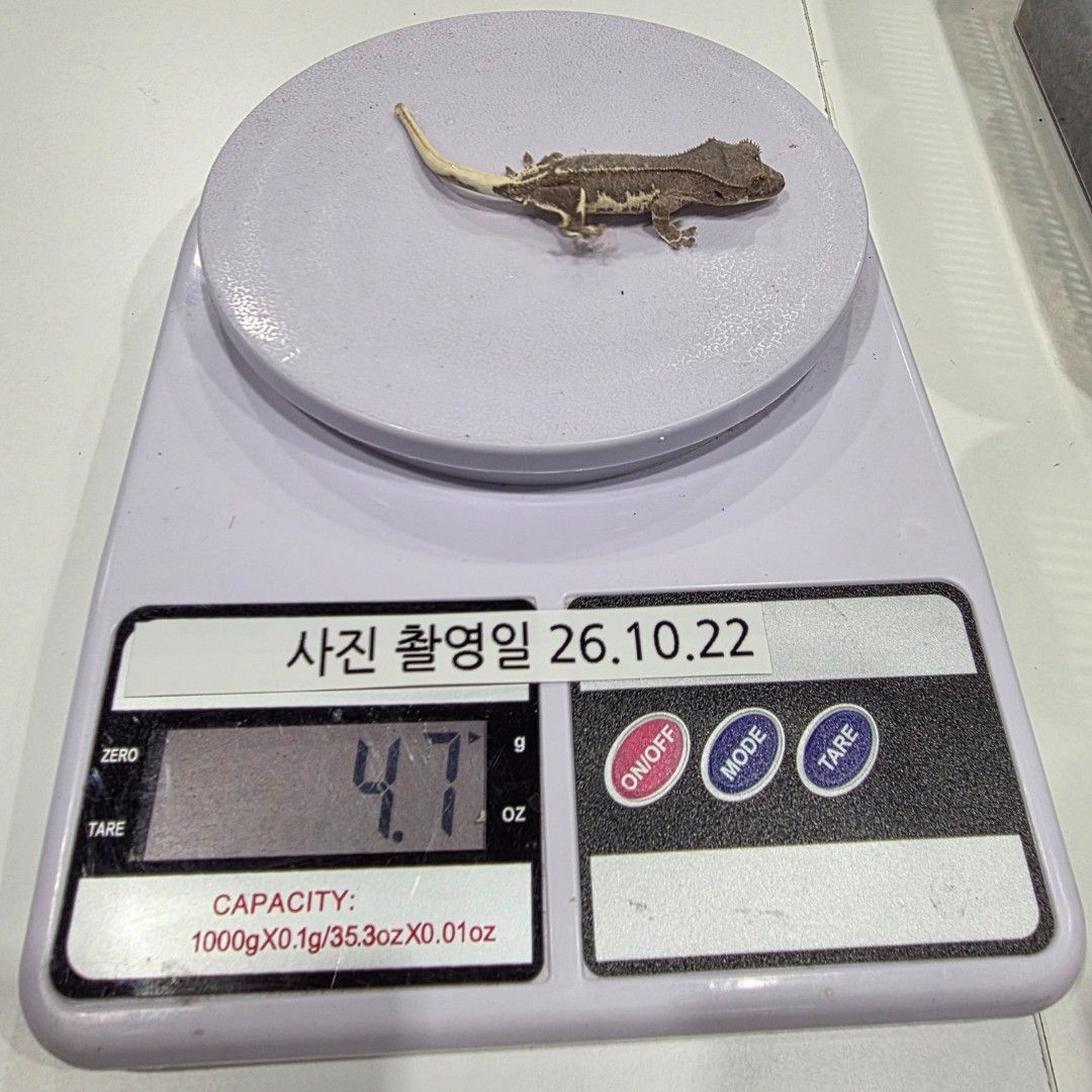 KakaoTalk_20261022_215617691_20.jpg