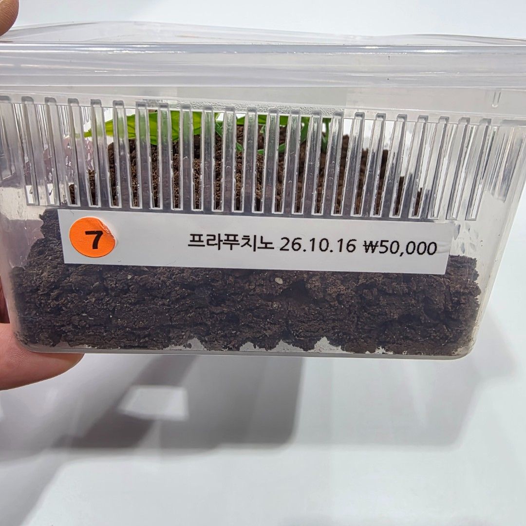 KakaoTalk_20261022_173647609_07.jpg