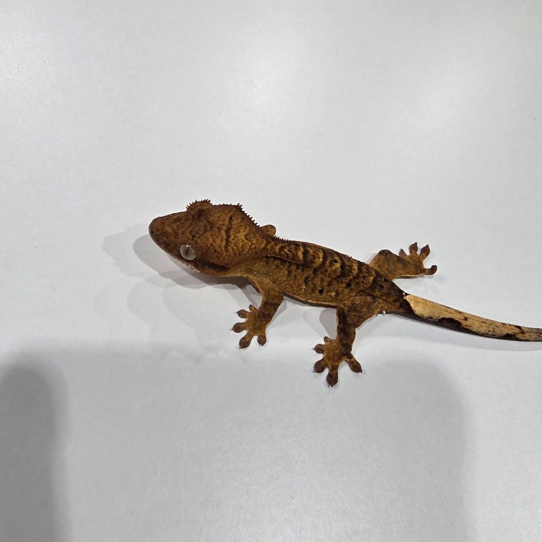 KakaoTalk_20261022_185547038_25.jpg