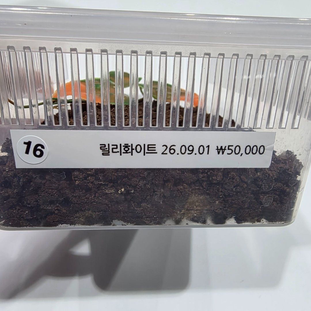 KakaoTalk_20261022_215636466.jpg