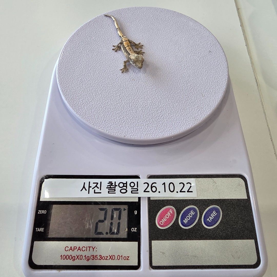 KakaoTalk_20261022_144118056_05.jpg
