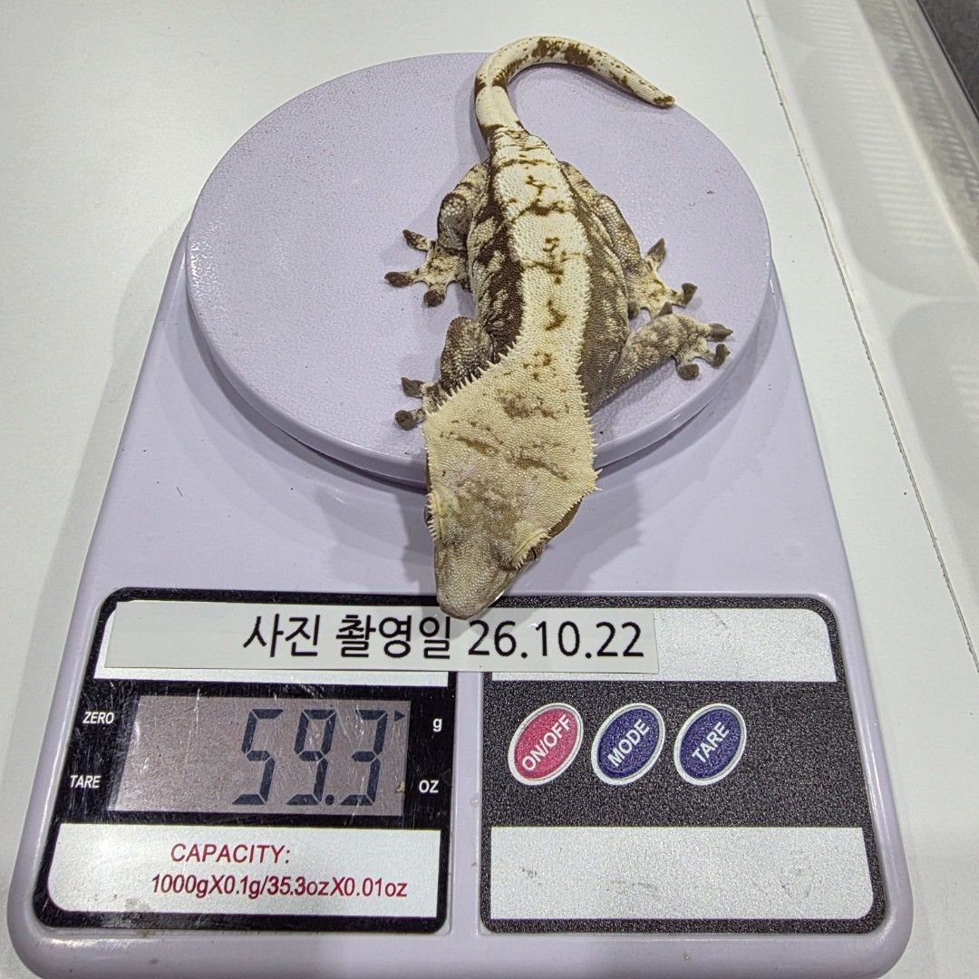 KakaoTalk_20261023_003023854_06.jpg