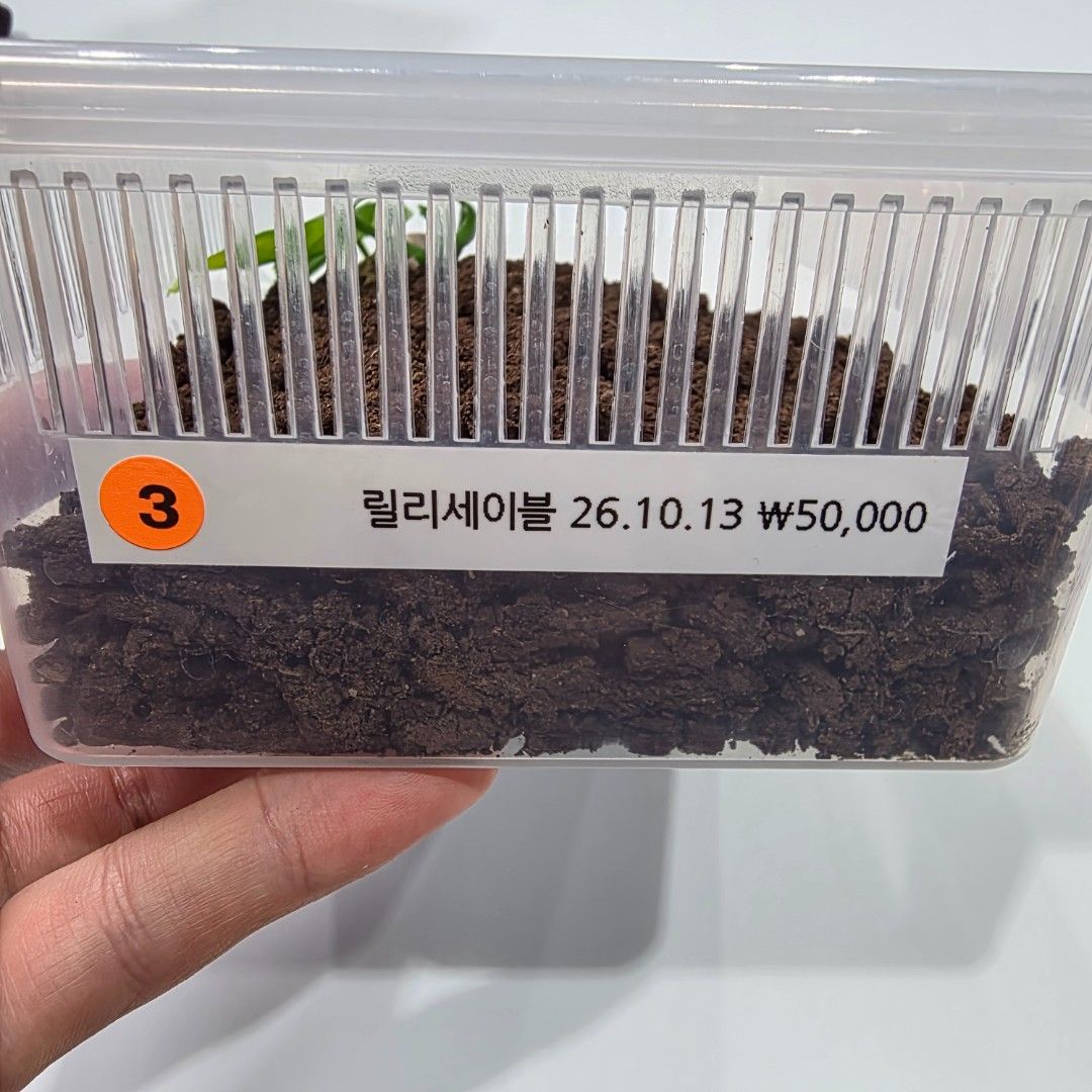 KakaoTalk_20261022_173702076_13.jpg
