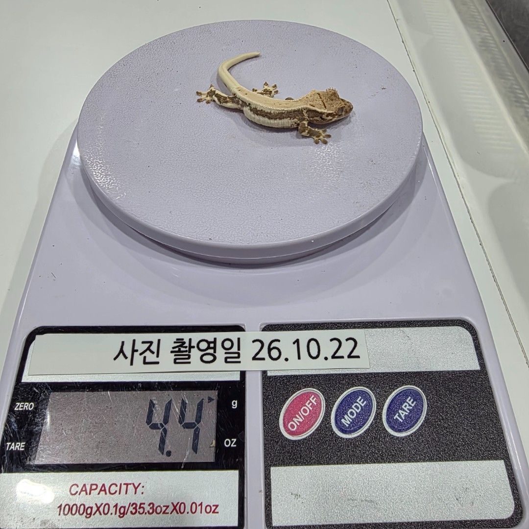 KakaoTalk_20261022_204109936_29.jpg