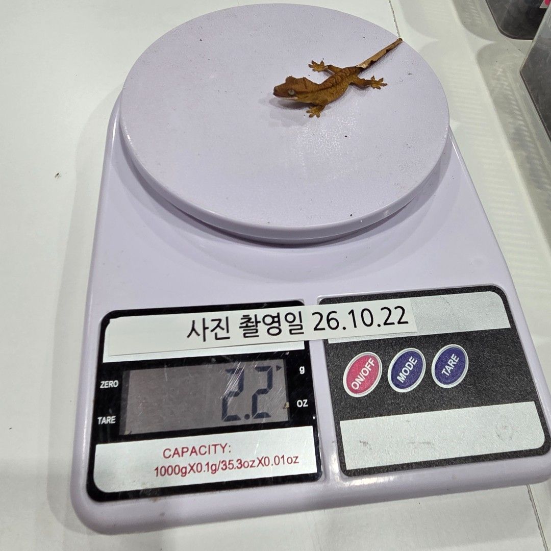 KakaoTalk_20261022_185553798_09.jpg