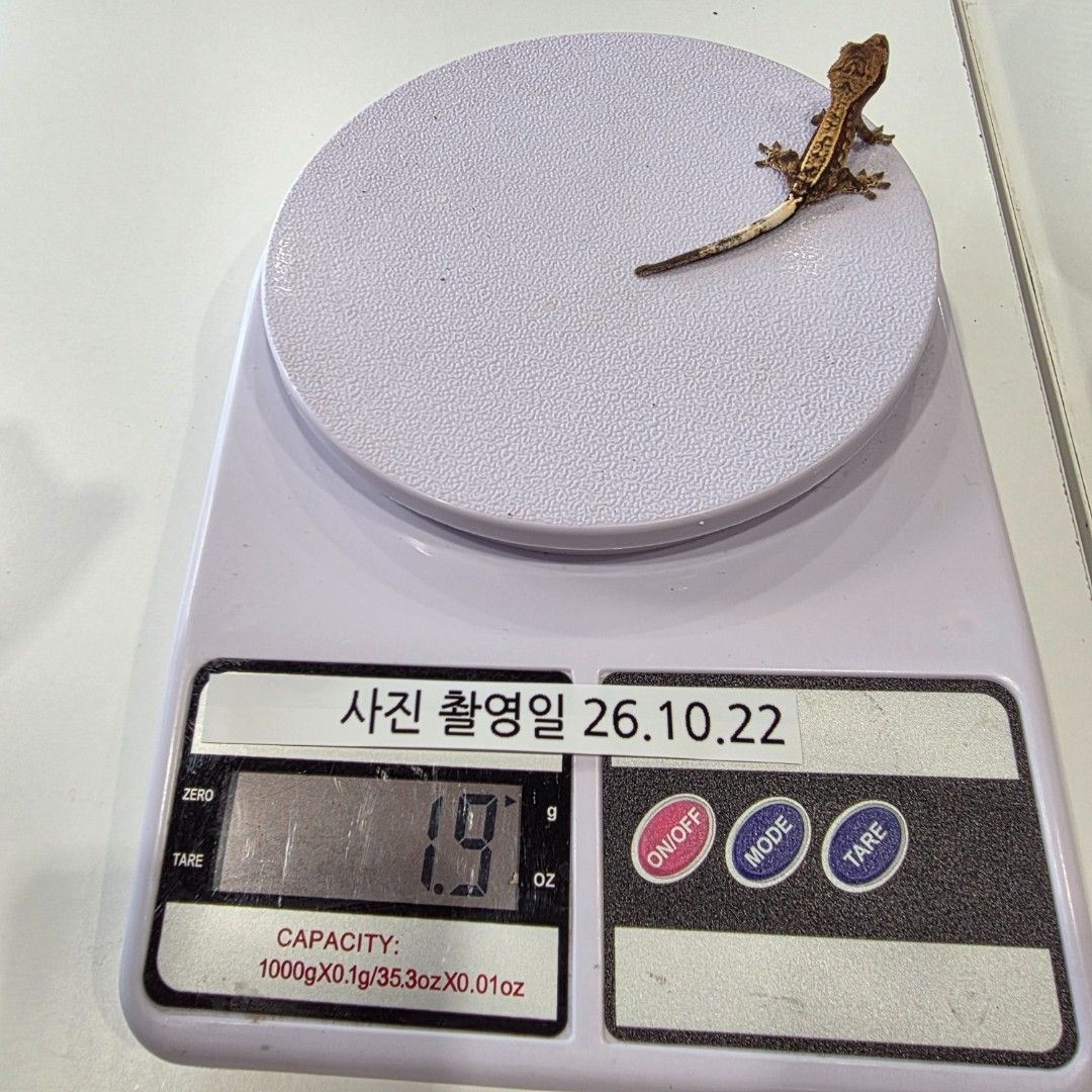 KakaoTalk_20261022_161926572_27.jpg