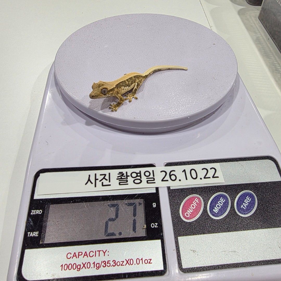KakaoTalk_20261022_204109936_08.jpg